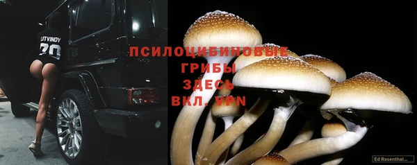 ешки Арсеньев