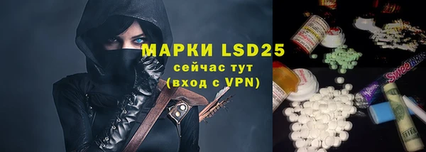 ешки Арсеньев