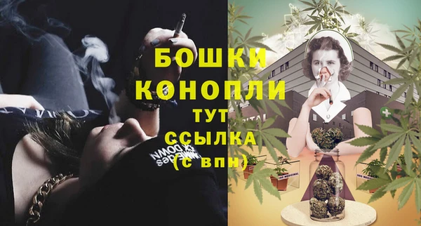 ешки Арсеньев