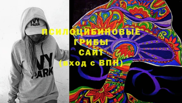 твердый Аркадак
